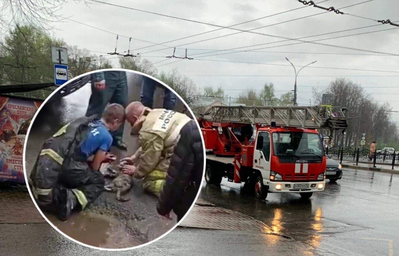 Новости ярославля про город. Пожарный. Пожарный спасает ребенка. Пожарные спасают людей.