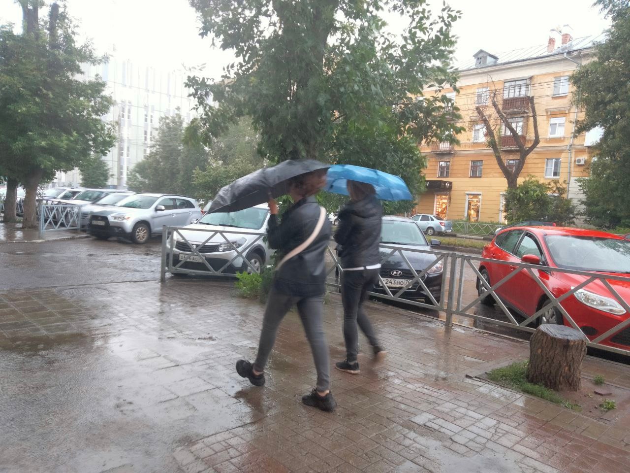 Осеннюю погоду пообещали синоптики в Ярославле в выходные