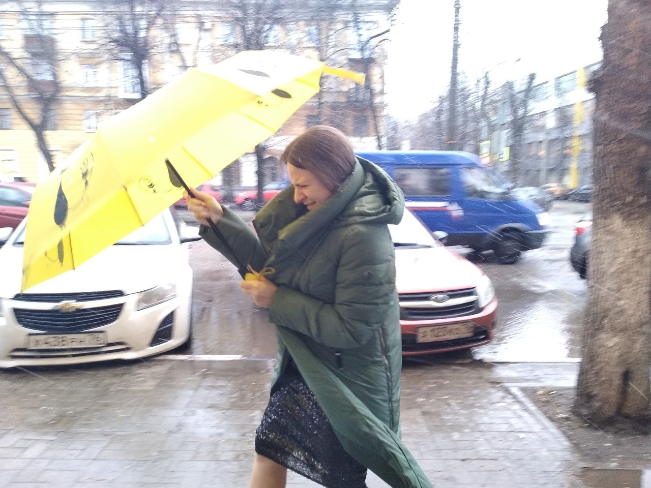   МЧС выпустило экстренное предупреждение о длительной грозе и шторме в Ярославле