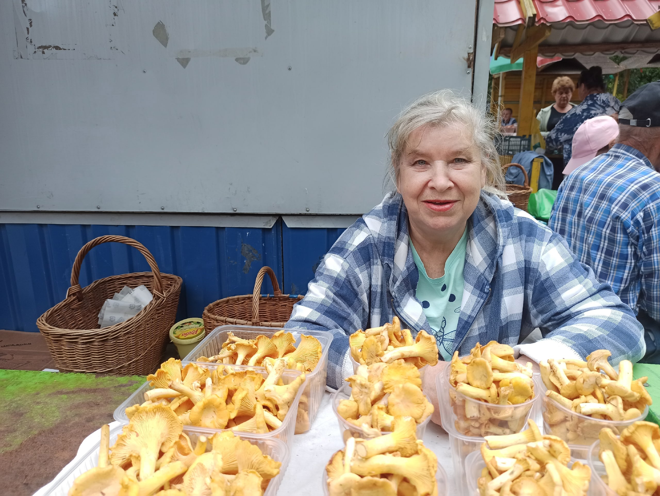 Белые - червивые, лисичек- море: где искать грибы в Ярославской области 