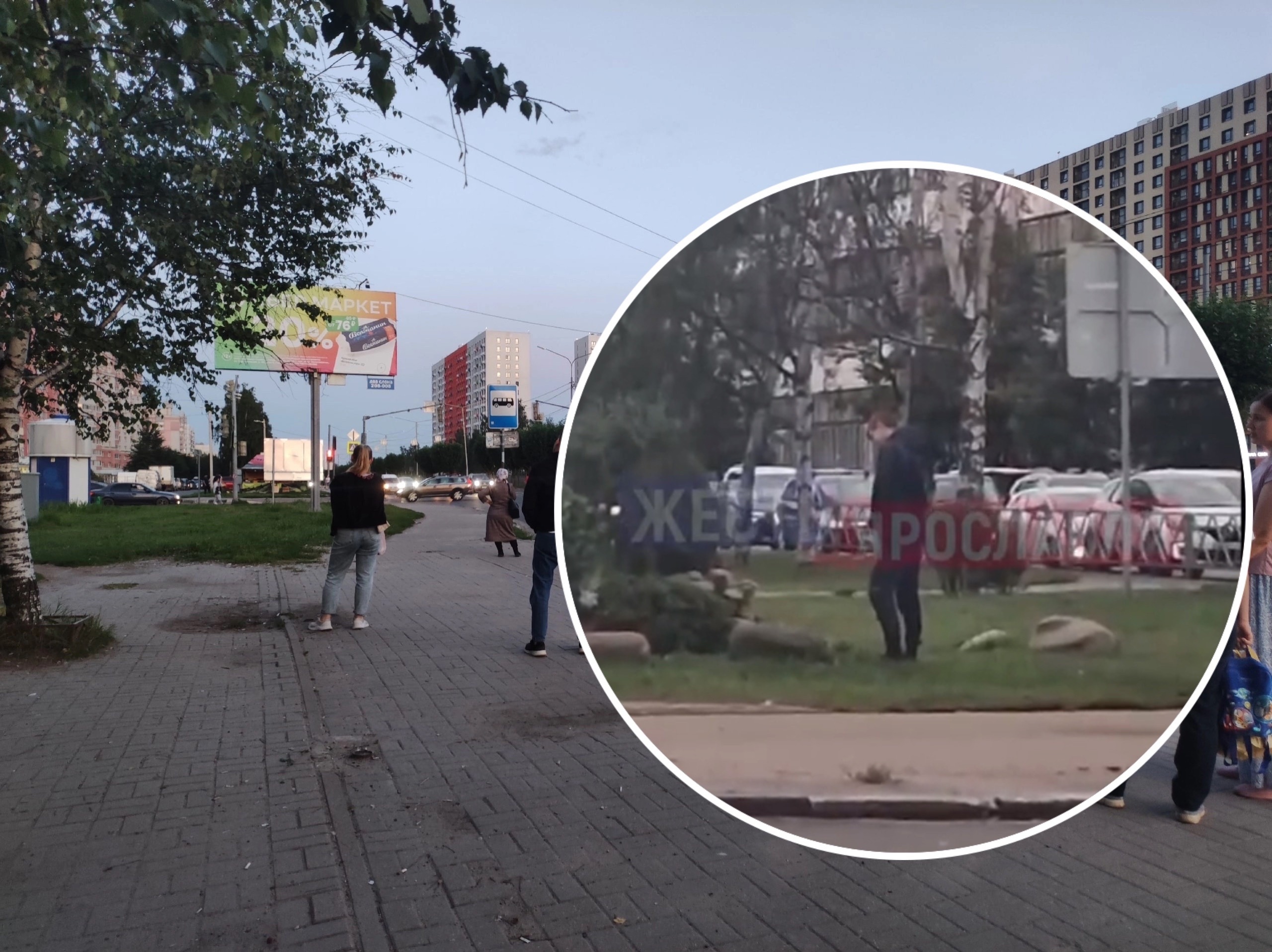 Молодой человек решил справить нужду в центре Ярославля