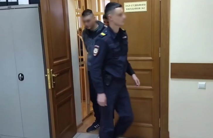 В Ярославле засветившегося в соцсетях пьяного водителя арестовали за нападение на полицейских