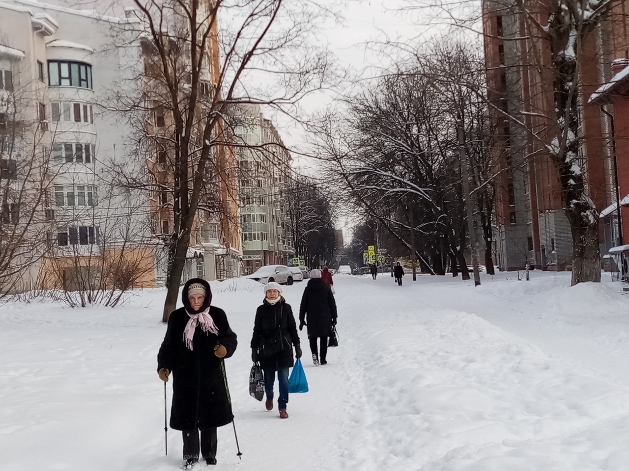   В Ярославле температура упадет до -12 градусов