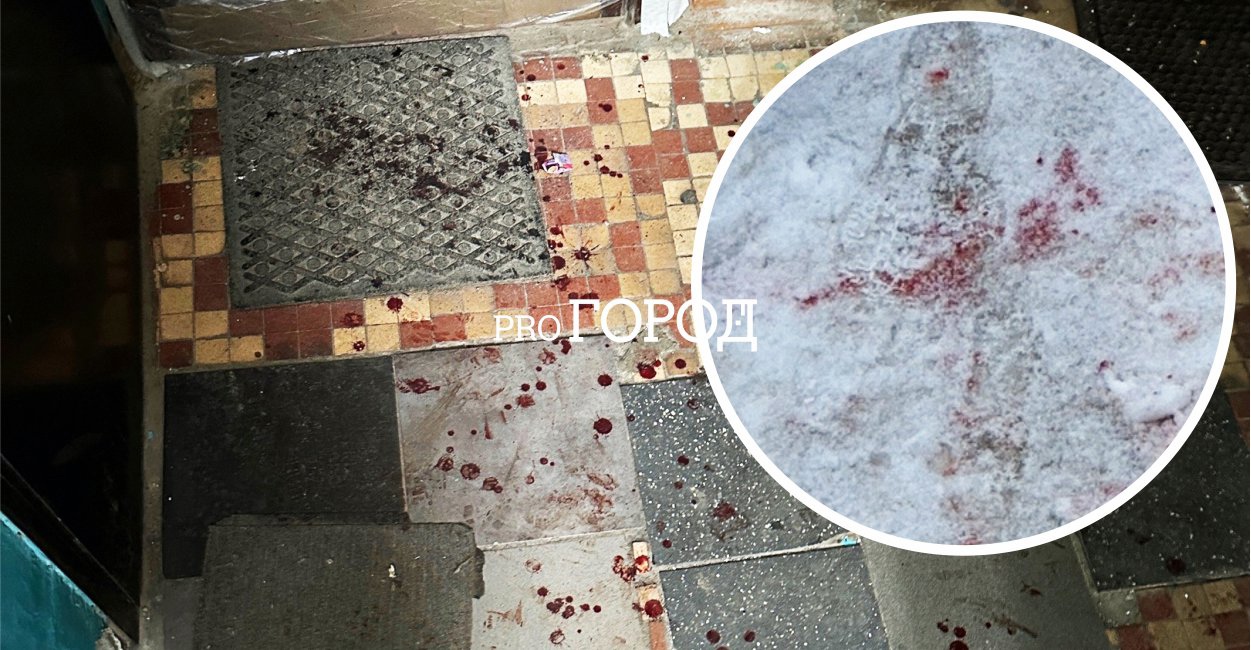 "Подъезд залили кровью": новое ЧП произошло в притоне в центре Ярославля