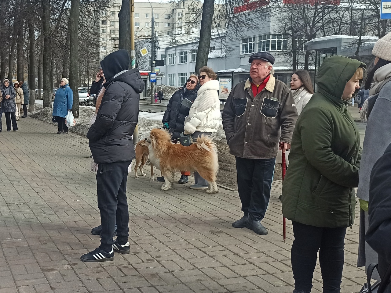 "Бросились спасать собаку. Страшно": в Ярославле проверят воздух после пожара на проспекте Ленина