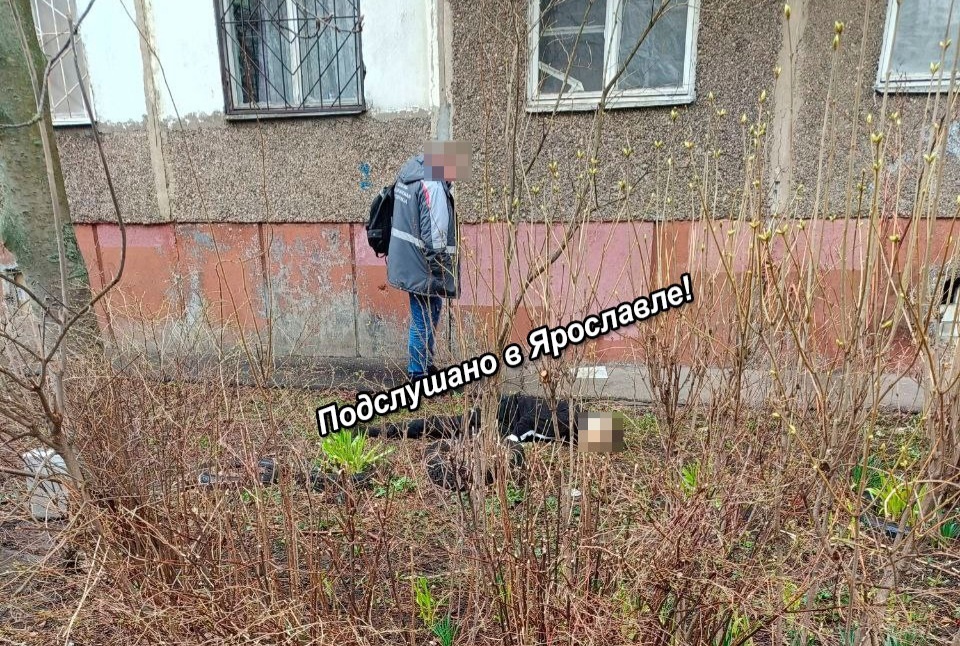 "Лежал лицом вниз": В Ярославле нашли труп мужчины на проспекте Дзержинского 