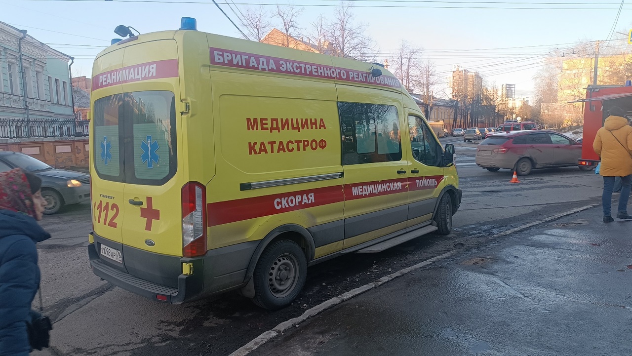 В Ярославле власти заплатят полмиллиона рублей за упавший тополь на сотрудника пивзавода