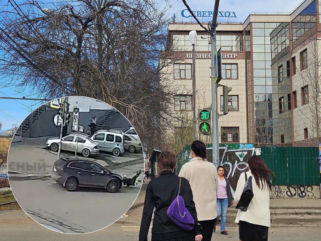 Прокатил на капоте: в Ярославле водитель сбил женщину на пешеходном переходе
