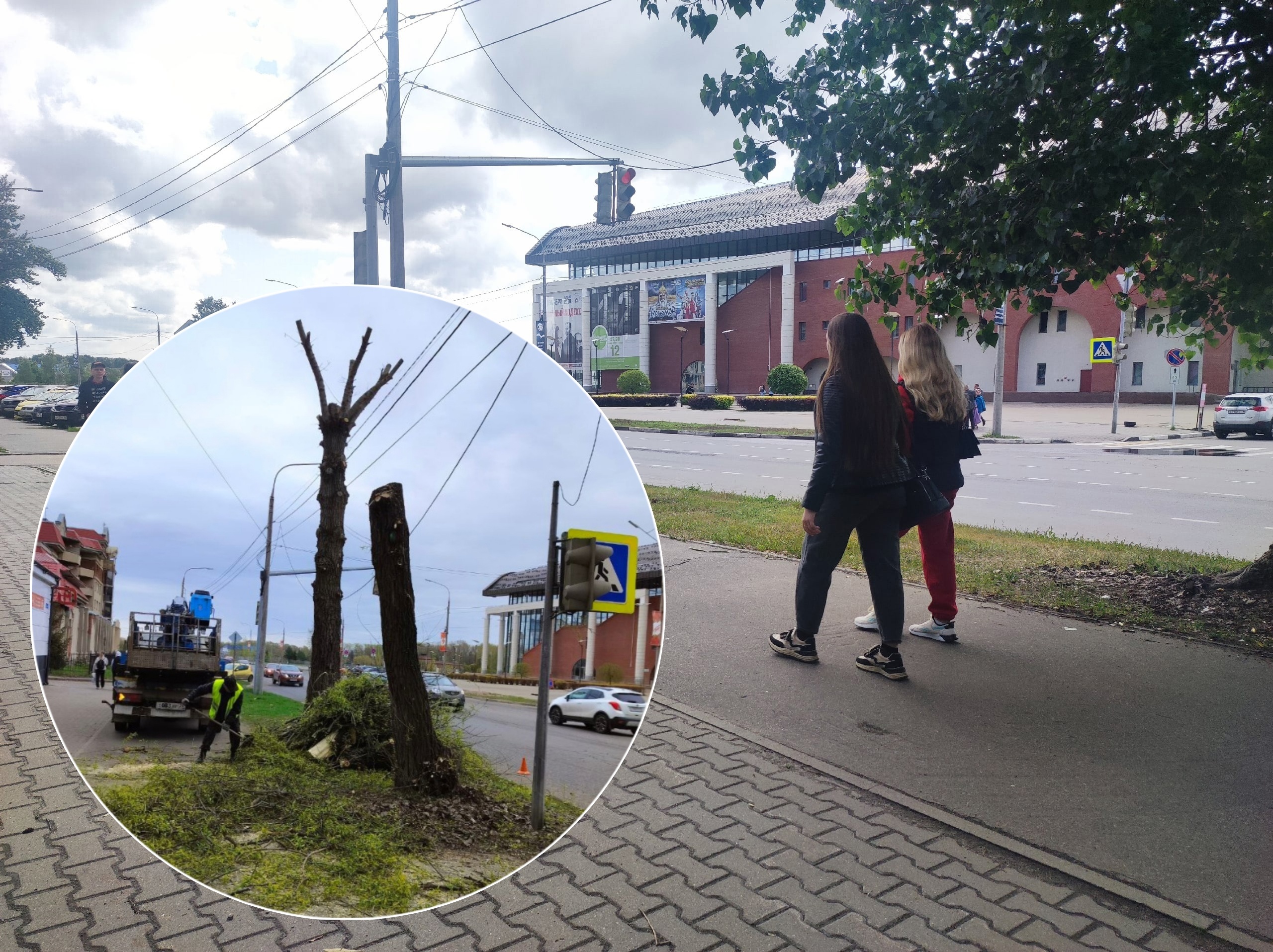Ярославцы негодуют из-за кронирования цветущих деревьев на Которосльной набережной