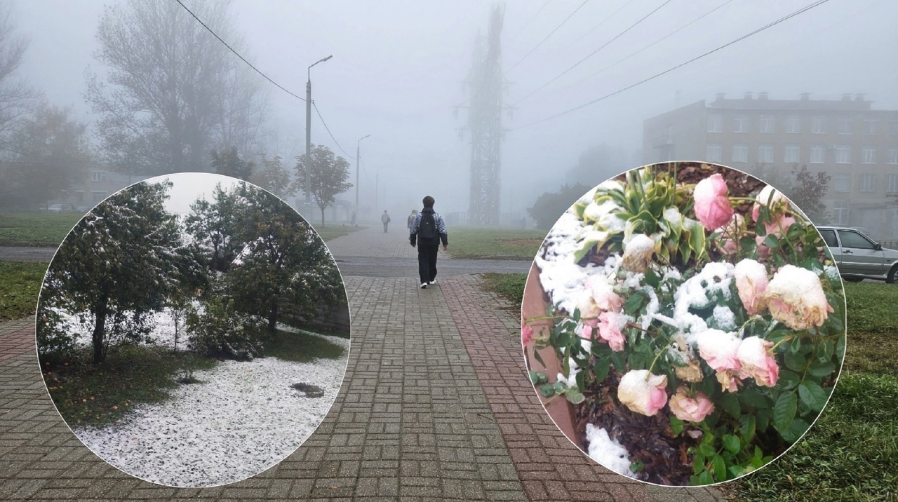 Назвали день, когда в Ярославле пойдет снег