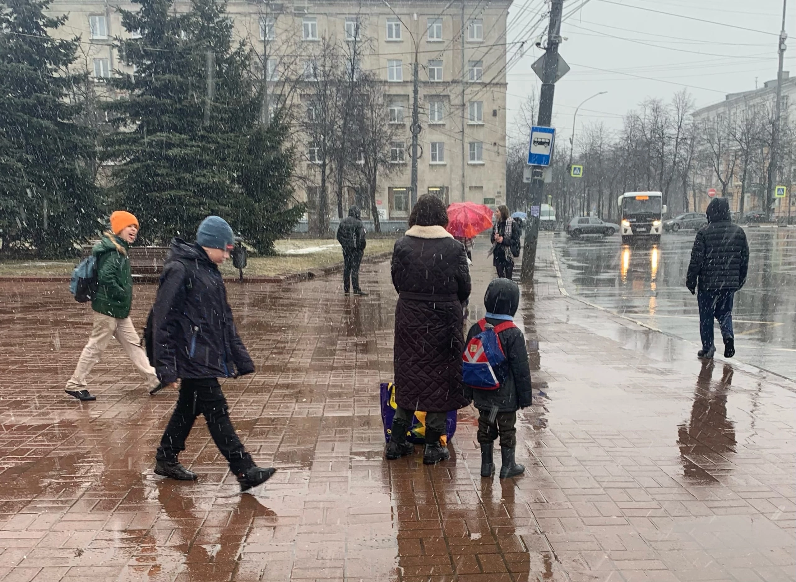 В Ярославле побит рекорд по заморозкам за последние 16 лет