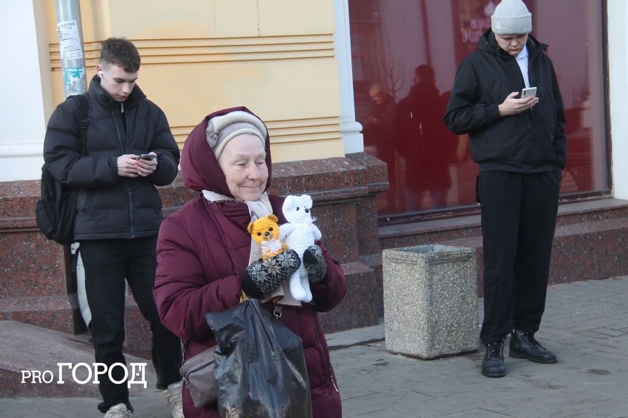  Трогательная бабушка с игрушками на Кирова умилила ярославцев