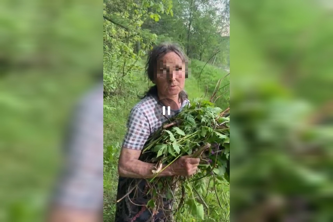 "Она может не пережить вторую ночь в лесу": ярославцы ищут пропавшую в лесу бабушку