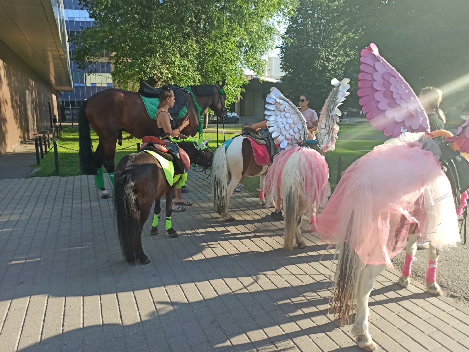 "Мучают на жаре": реакция ярославцев на сообщение о падении ребенка с лошади в Даманском парке