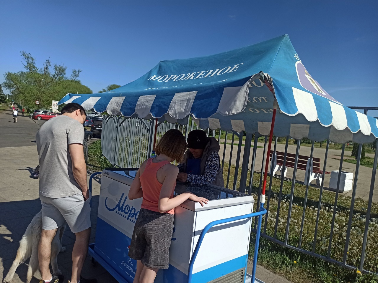 Ярославцы удивились ценами на мороженое 