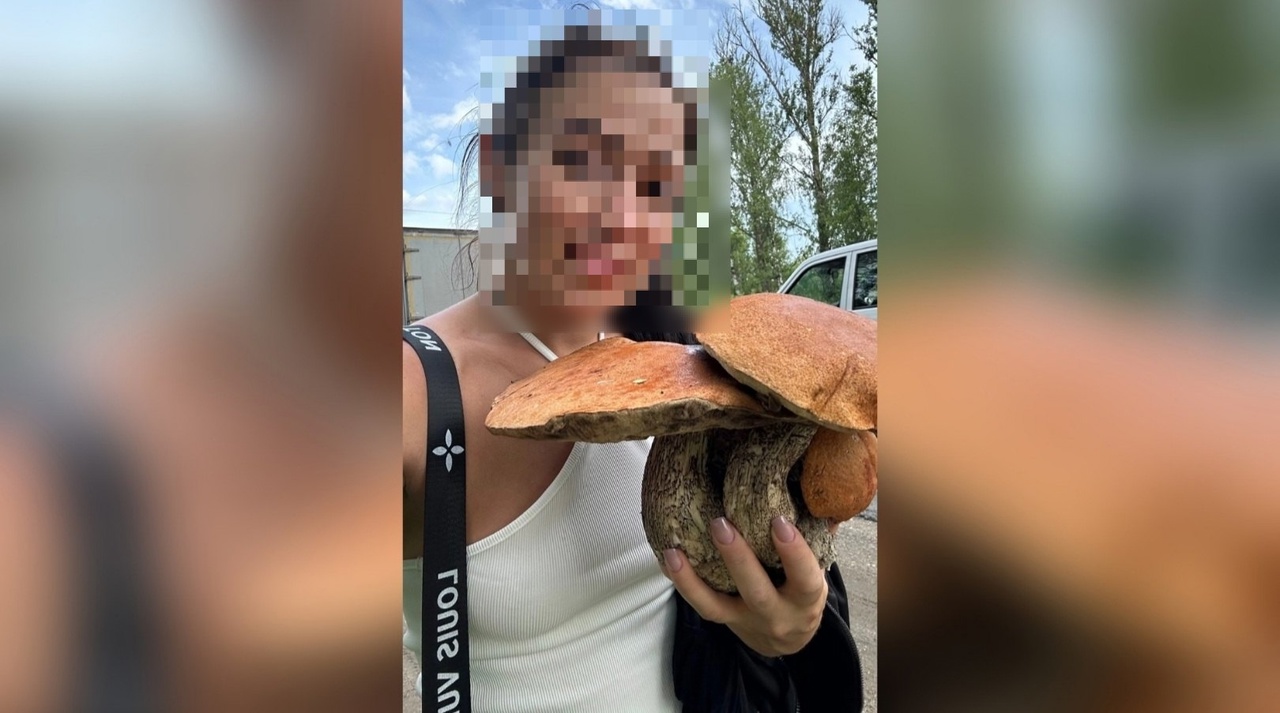 В ярославском лесу выросли грибы-титаны