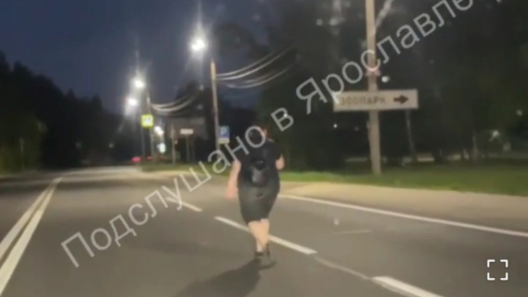 "Идёт, шатается, как шланг": ночью на трассе около ярославского зоопарка человек бросился по колеса 