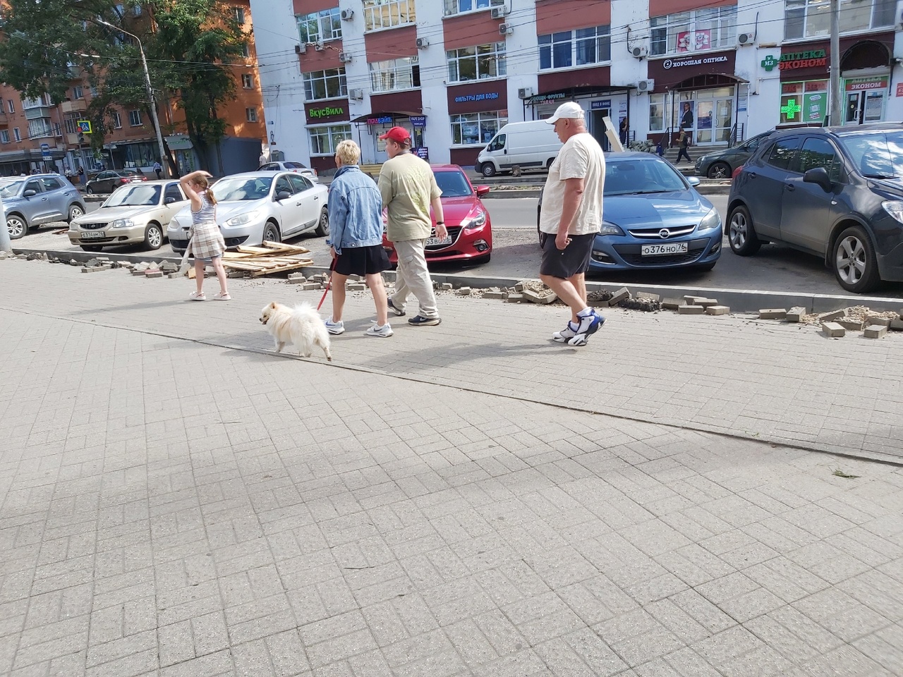 В Ярославле будут принимать жалобы за неправильный выгул собак