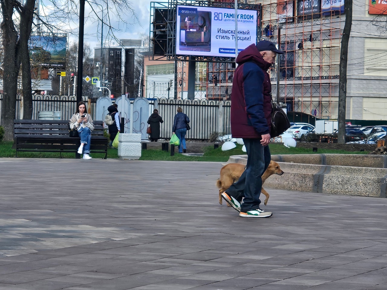 "В Москве создают условия, а у нас - только штрафы": ярославцы о выгуле собак
