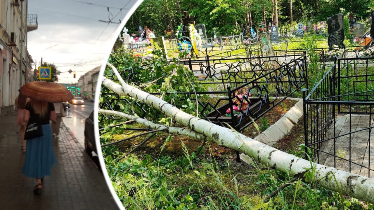 Рухнувшее от урагана дерево в Ярославской области придавило могилы