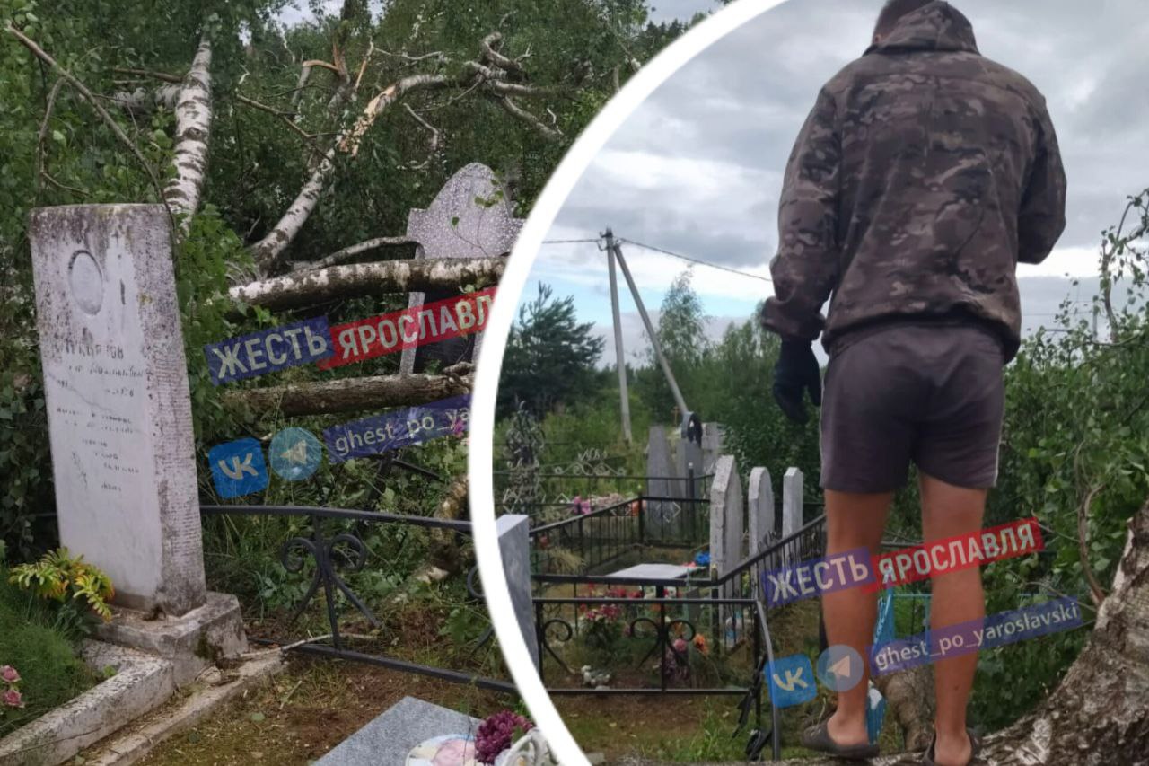 В Ярославском районе упавшие деревья сломали памятники 