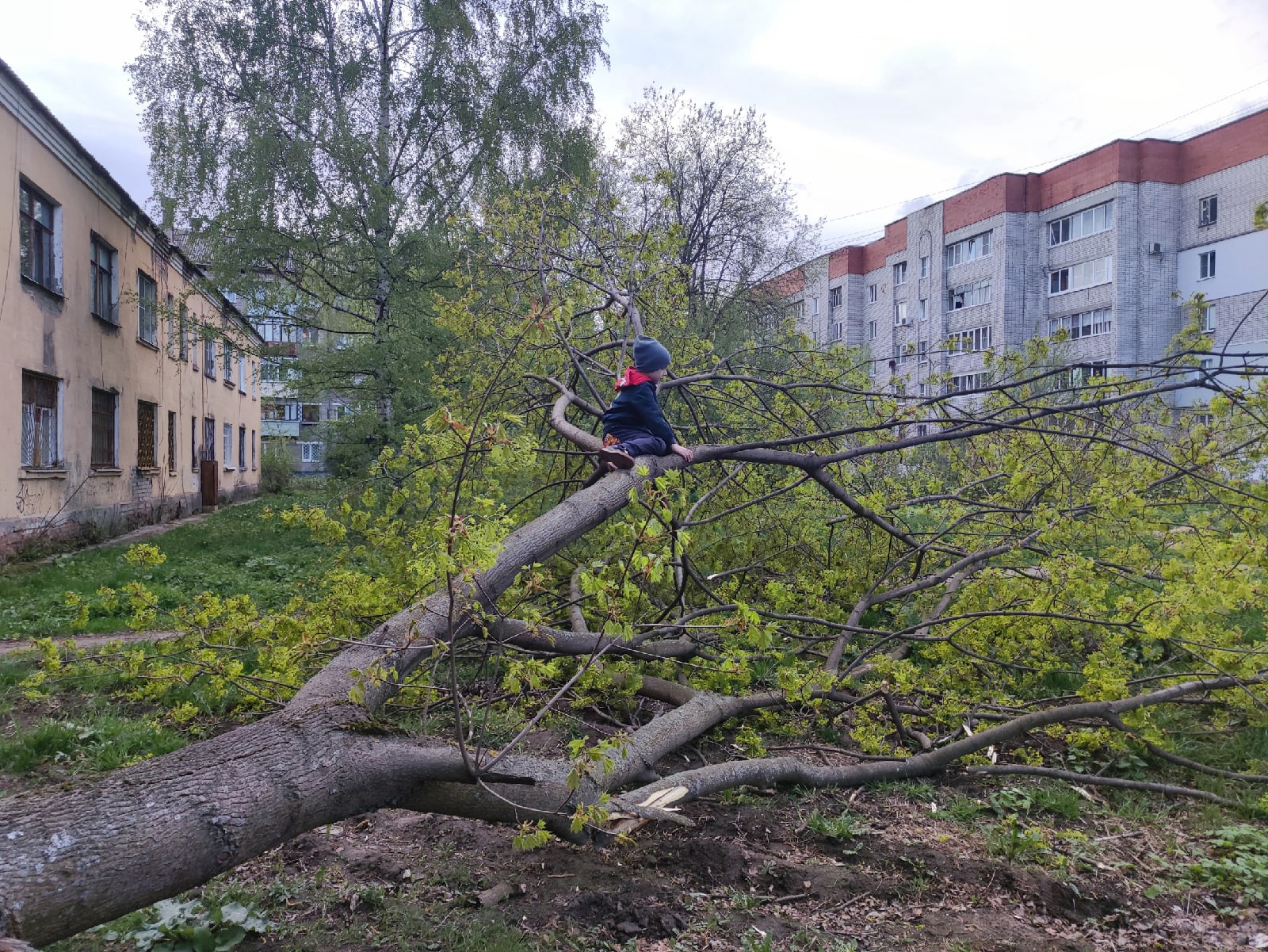 Жители Ярославской области сидят без света вторые сутки