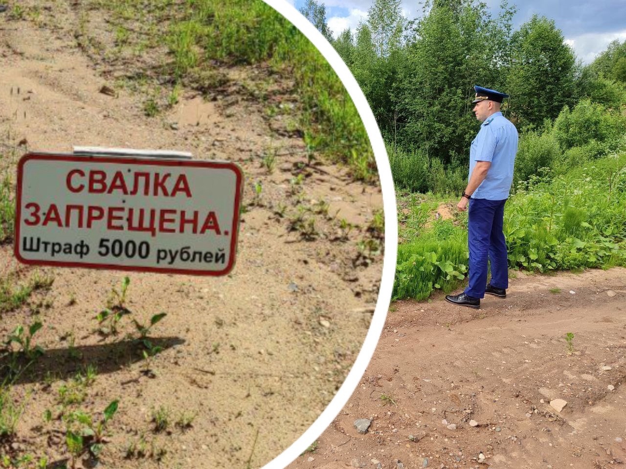 В Ярославской области заброшенный карьер превратился в гигантскую свалку