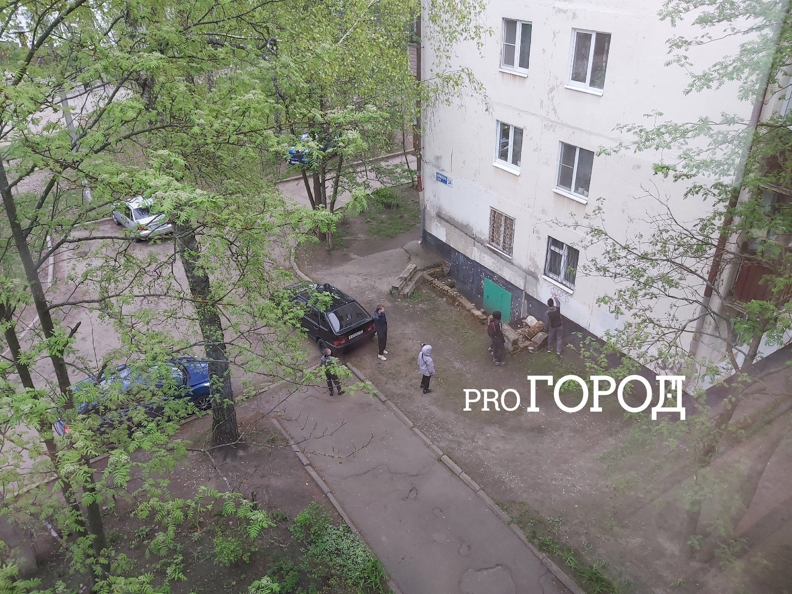 В Ярославле с помощью горожан устроят облавы на уличных художников