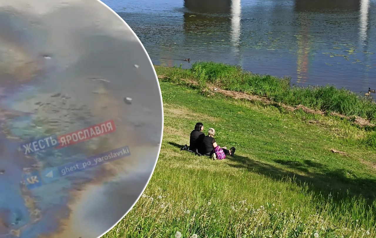 "Течет, не переставая": ярославцы беспокоятся из-за загрязнения Волги мазутом в Брагино