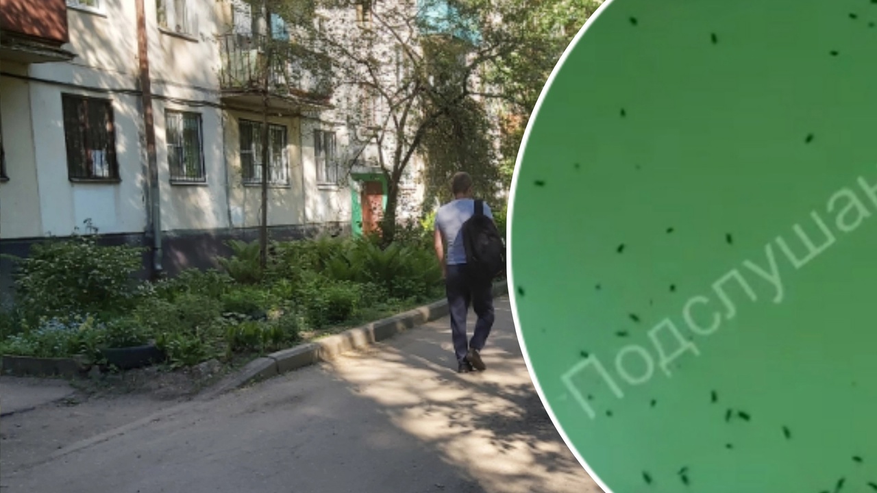Жители Заволжского района сообщают о нашествии тараканов