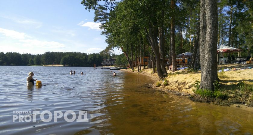 Скрытый кошмар: кровожадные паразиты присасываются к отдыхающим на российских озерах