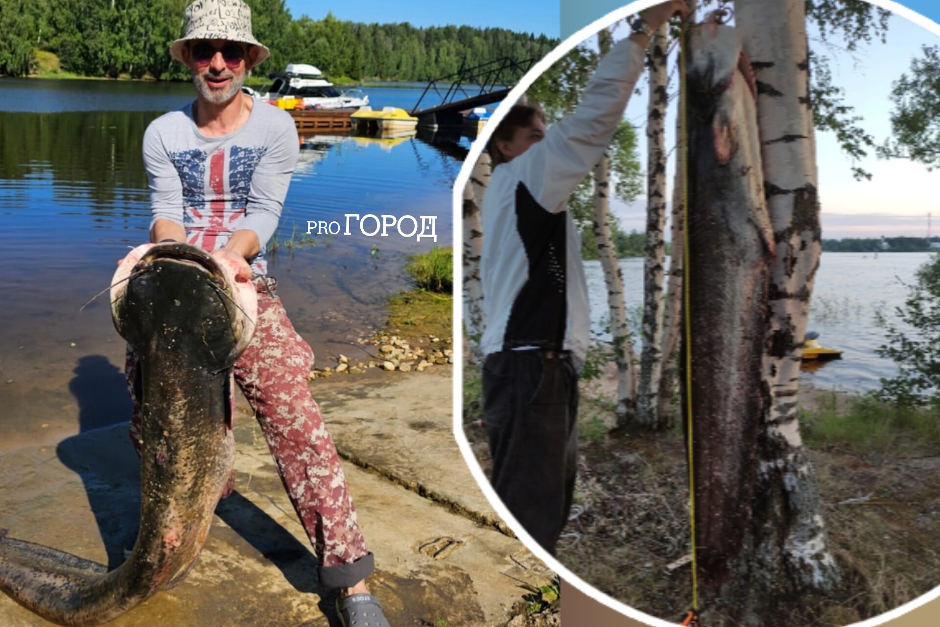 "Привлекали звуком": рыбак поймал 50-килограммового сома в Ярославской области