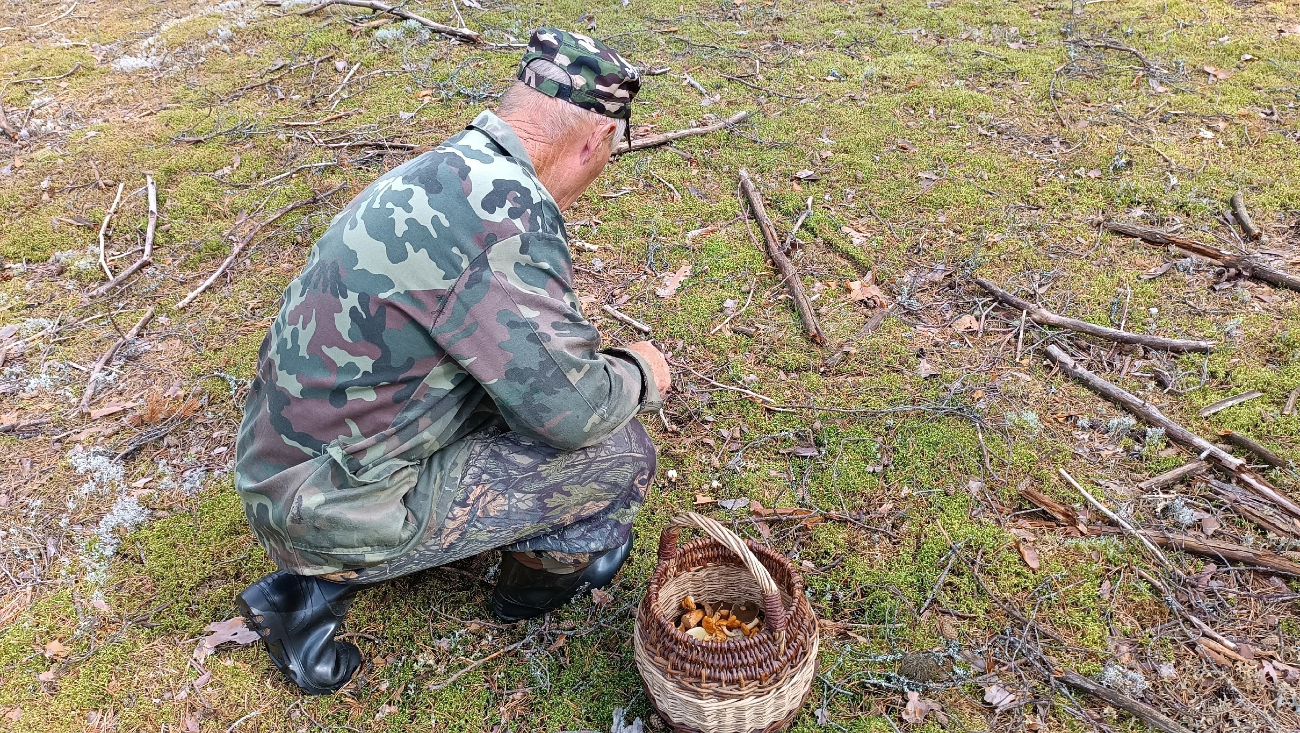 Где в Ярославской области собирать грибы и как их готовить