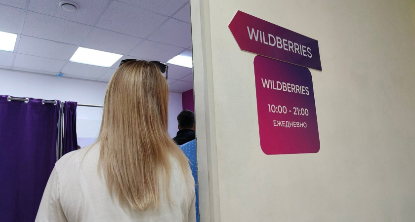 Судьбоносное решение: Wildberries и Ozon прекращают деятельность с 19 сентября