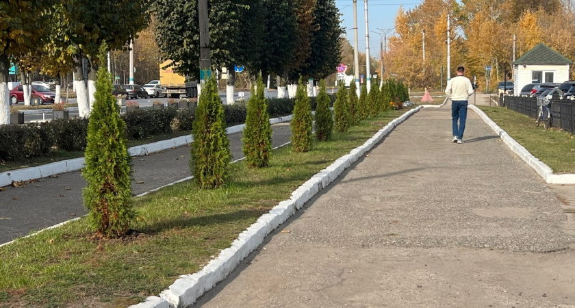 Нам уже все предрешили: этот понедельник внезапно объявили праздничным днем