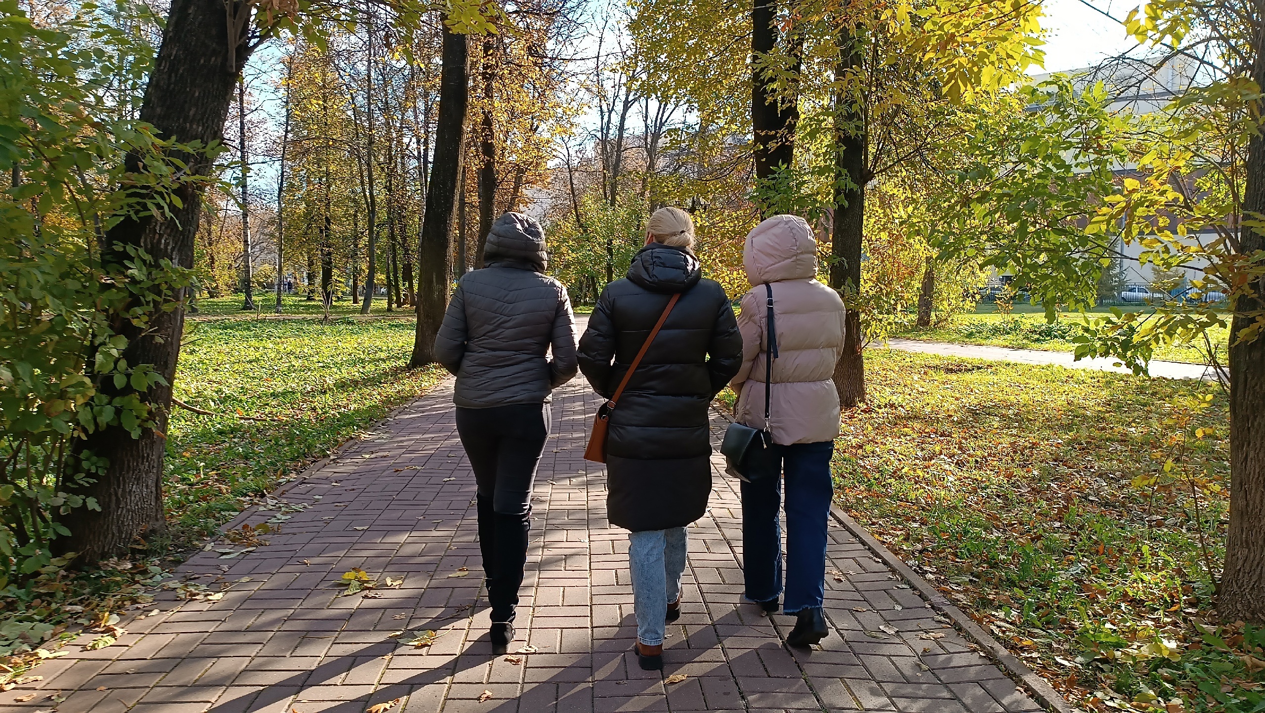 Не время отдыхать, когда такое в стране: эти два дня испортят все новогодние каникулы 2025