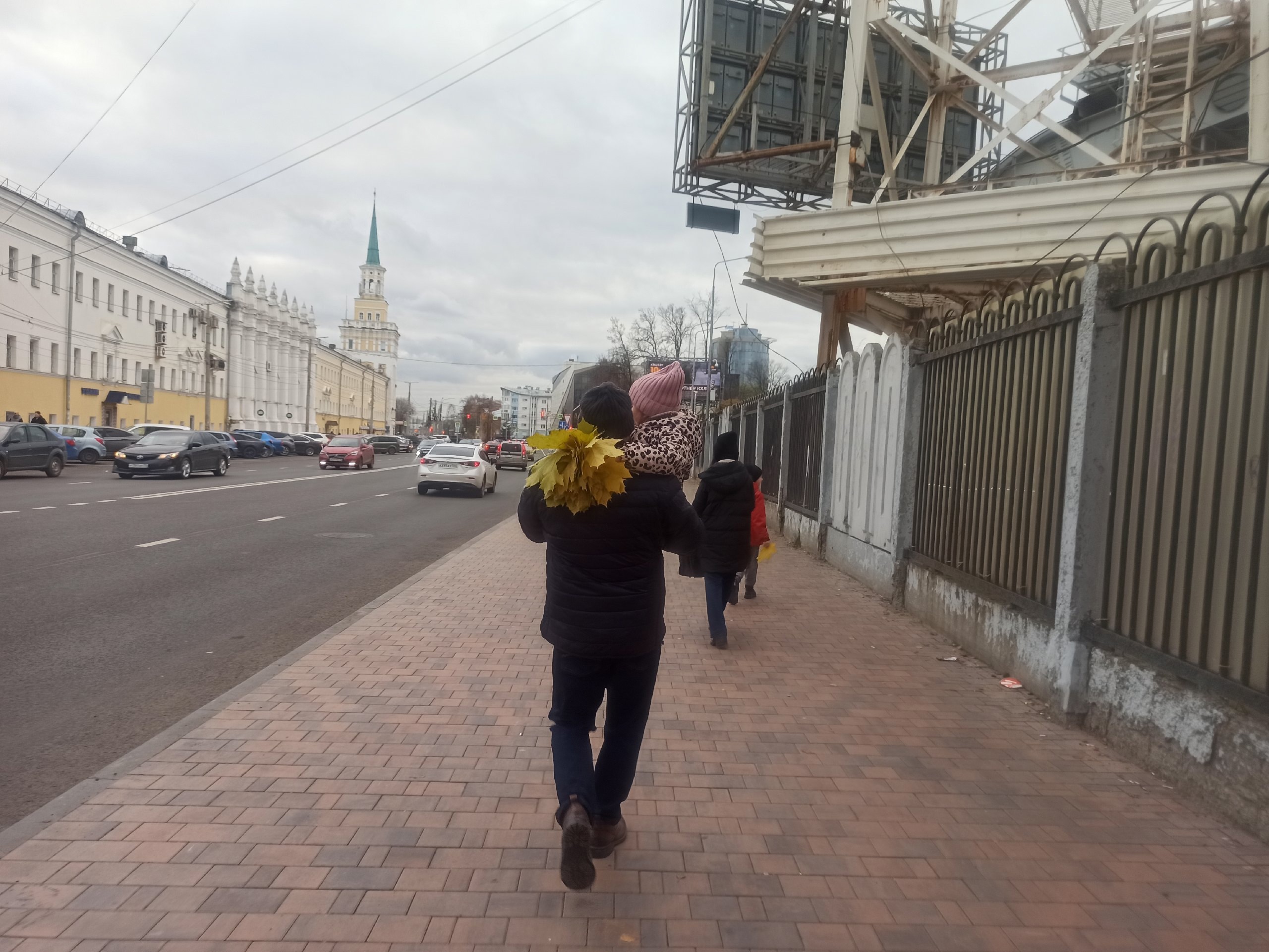 Синоптики обещают в Ярославле метель с гололедицей и падением деревьев: "Приходит мерзкая осенняя погода"