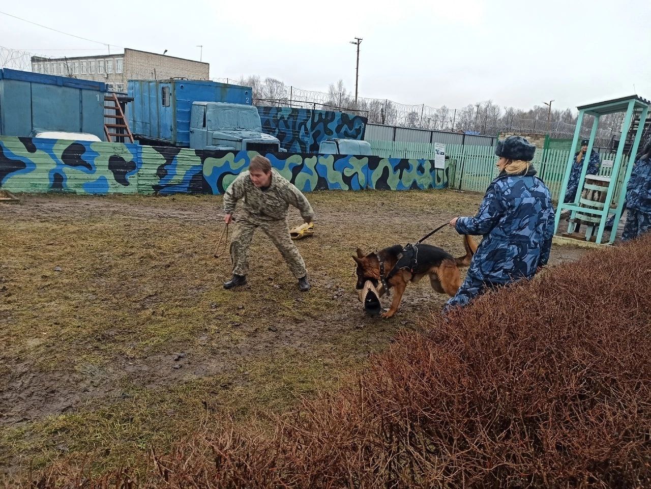  Ярославцы выступили за смертную казнь