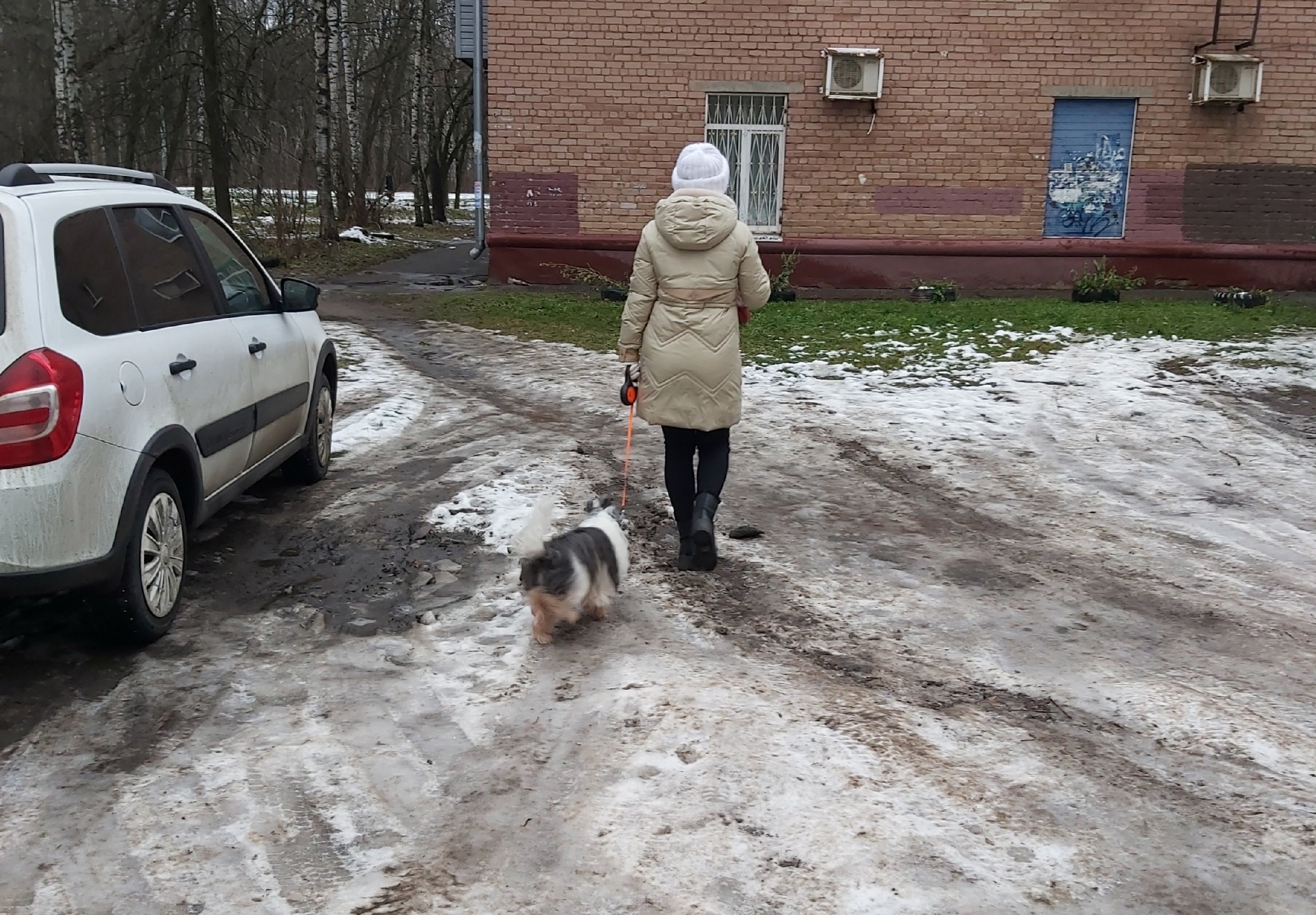 Яблоко от яблони: какие знаки зодиака повторяют судьбу своих родителей в 2025 году