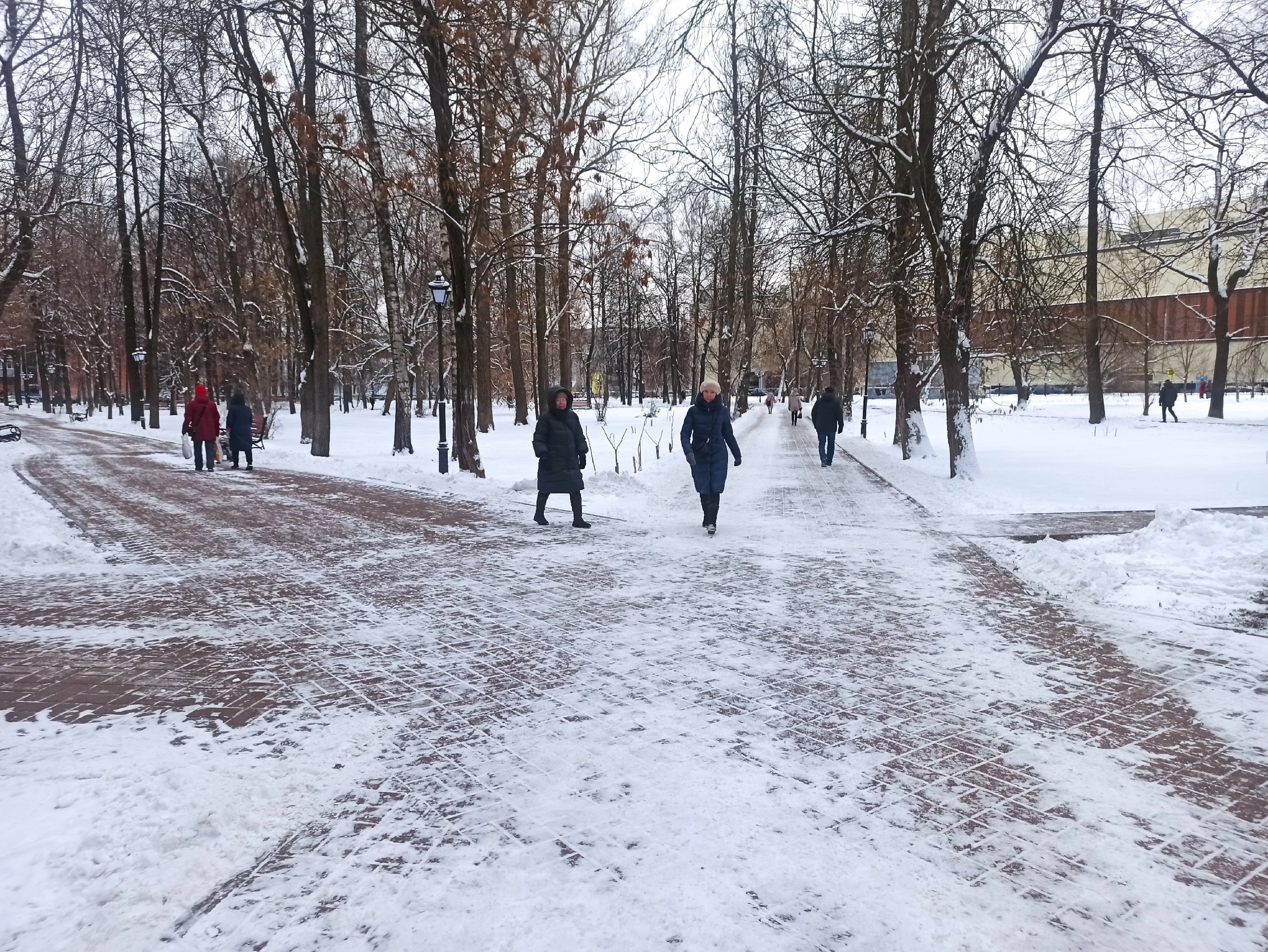 В Ярославле ударят двадцатиградусные морозы 