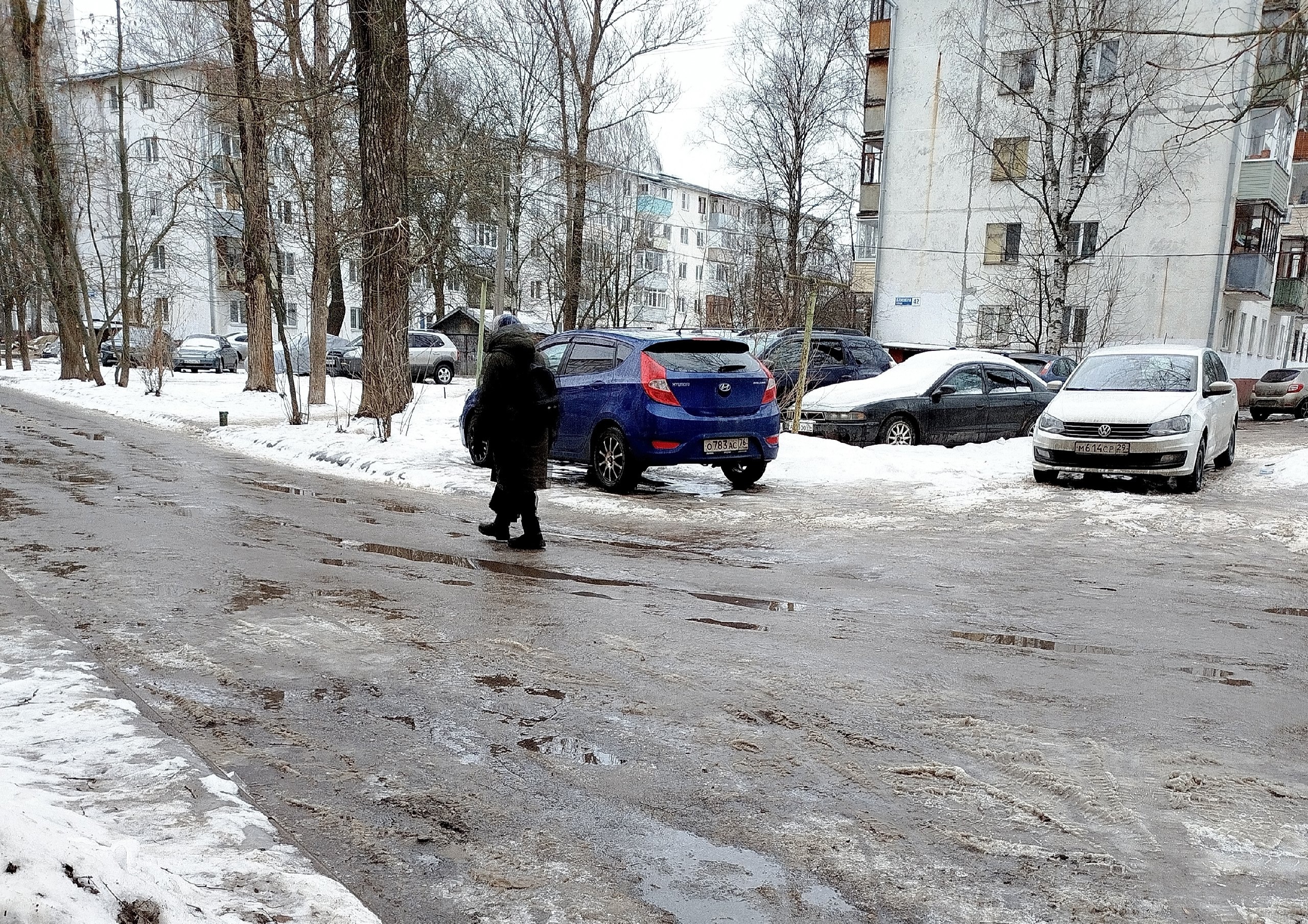 Аномальное потепление ждет ярославцев в последнюю неделю января