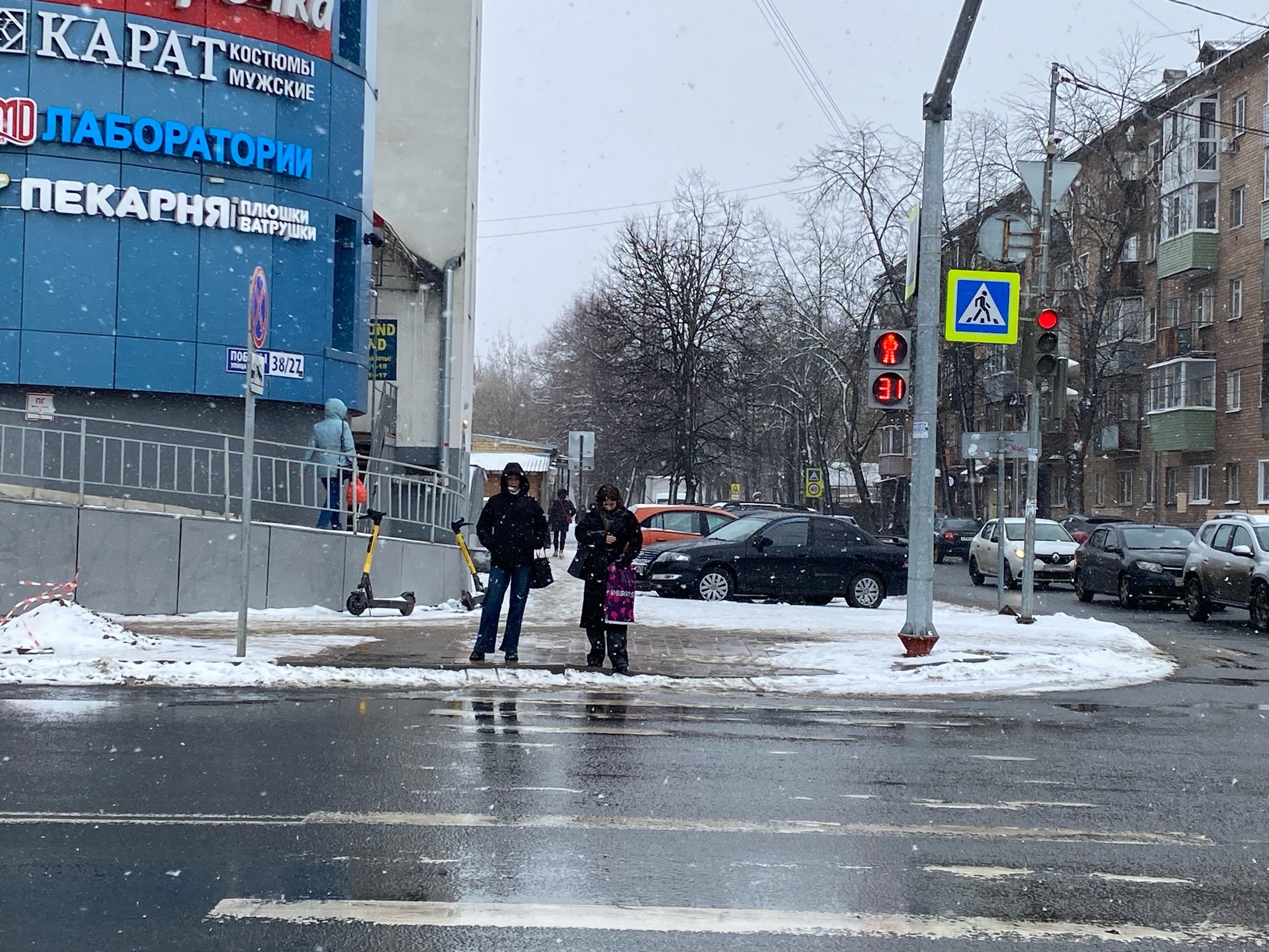 Ярославль: гибнущие чибисы на дорогах и поджог квартиры на Суздальском шоссе. Главные новости за 12 апреля
