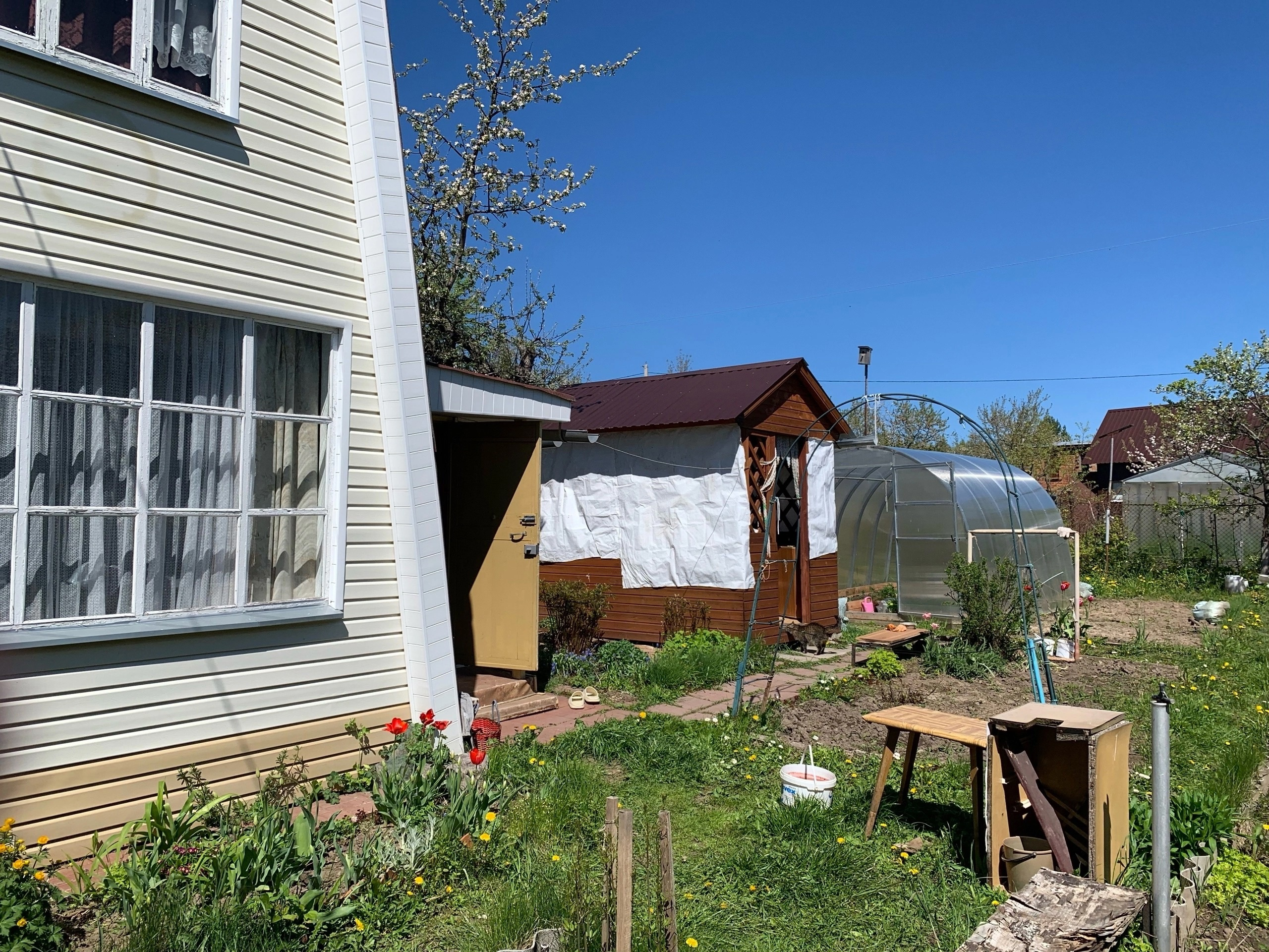 В Китае давно делают только так: этот способ увеличит любой урожай в 5 раз